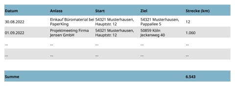 Beispiel für ein Fahrtenbuch